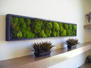 Toits Vertige. Conception de mur vegetal vivant ou preserve à Montréal.