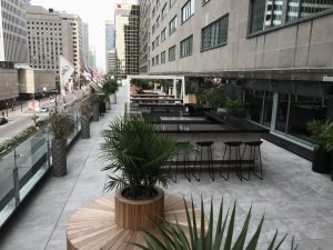 Toit-terrasse_toit vert_mur vegetal_Les Toits Vertige