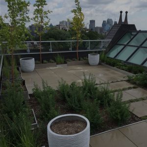 Toit-terrasse_toit vert_mur vegetal_Les Toits Vertige