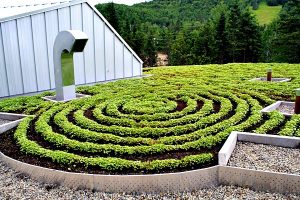 Réalisation Toits Vertige. Projet d'agriculture urbaine sur toit pour la Clef des champs.