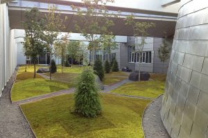 Réalisation Toits Vertige. Conception de toits verts et d'un toit-terrasse pour le Planétarium Rio Tinto Montréal.