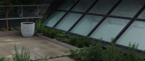 Toits Vertige se spécialise dans la conception de mur vert, toit-terrasse et de toiture végétalisée à Montréal et à Québec.