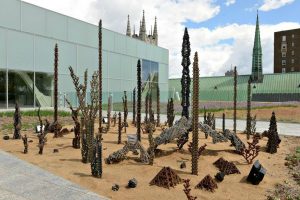 Musée des Beaux-Arts du Québec_toits verts_Toits Vertige