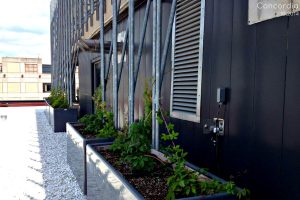 Toits verts et toit terrasse projets scolaires. Toits Vertige