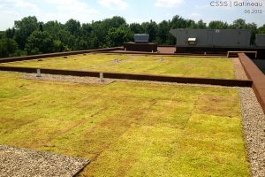 Toits verts et toit terrasse projets institutionnels. Toits Vertige.
