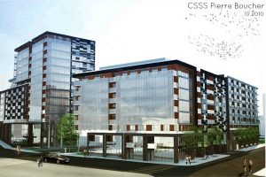 Toits verts et toit terrasse projets institutionnels. Toits Vertige.
