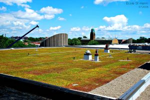 Toits verts et toit terrasse projets scolaires. Toits Vertige