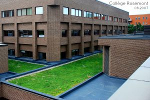 Toits verts et toit terrasse projets scolaires. Toits Vertige