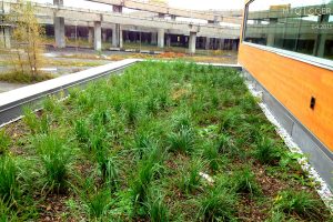 Toits verts et toit terrasse projets institutionnels. Toits Vertige.