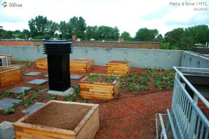 Les Toits Vertige.Installation de toits verts et terrasse urbaine sur toit résidentiels pour copropriétés de Montréal.