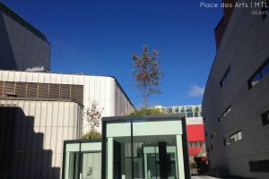 Toits verts et toit terrasse projets commerciaux. Toits Vertige.