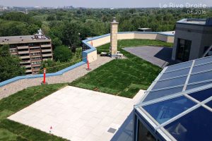 Toiture Verte_condos et copropriété Québec_Toits Vertige