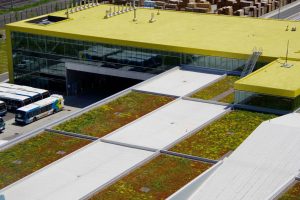 Réalisation Toits Vertige. Le plus grand toit vert au Québec pour STM Stinson Montréal.