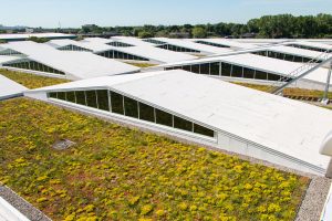 Réalisation Toits Vertige. Le plus grand toit vert au Québec pour STM Stinson Montréal.