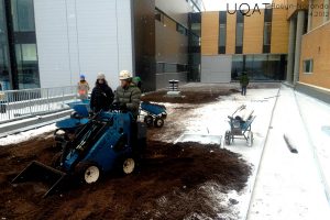 Toits verts et toit terrasse projets scolaires. Toits Vertige