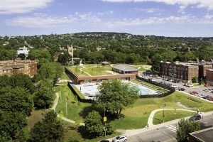 Toits Vertige. Réalisation d'un toit vert pour le Centre des loisirs de Westmount Montréal.