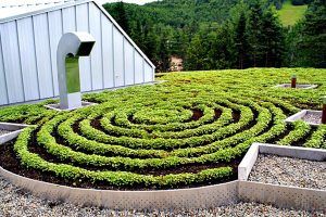 Réalisation Toits Vertige. Projet d'agriculture urbaine sur toit pour la Clef des champs.