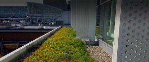 Toit vert Aéroport de Montréal. Toits Vertige.
