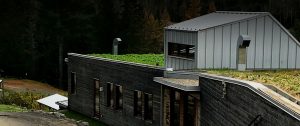Réalisation Toits Vertige. Projet d'agriculture urbaine sur toit pour la Clef des champs.