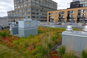 Toit-terrasse_condos et copropriété Quebec_Toits Vertige