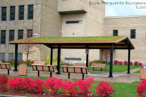 Toits verts et toit terrasse projets scolaires. Toits Vertige