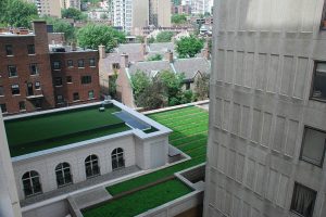 Installation toitures végétales Montréal.