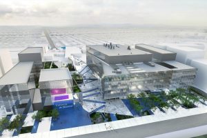 Les Toits Vertige. Conception de toit vert et toit-terrasse pour le Complexe des sciences de l'Université de Montréal.